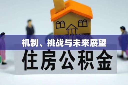渠县机制、挑战与未来展望